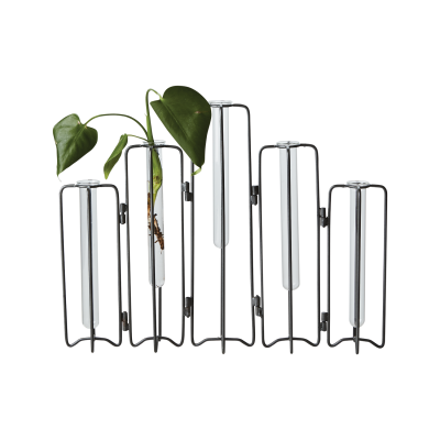 Olivia vase glass sylinder